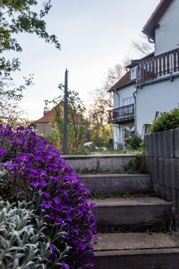 Gaestehaus Bechtloff * Meissen